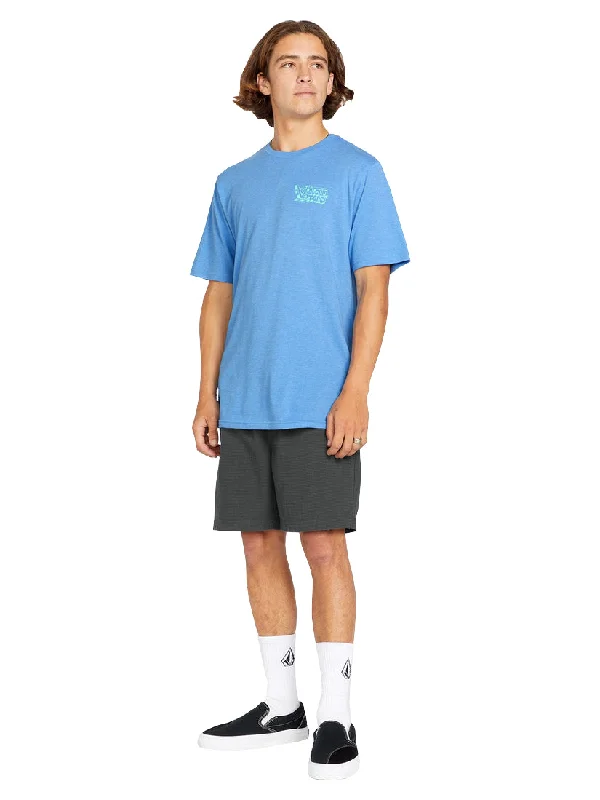 Everyday pants VOLCOM HIGH STONE EW SHORT 18